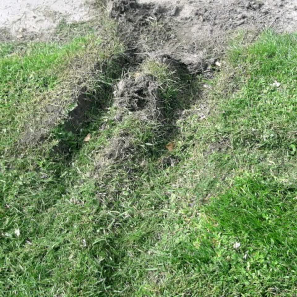 The photograph attached to this parks report