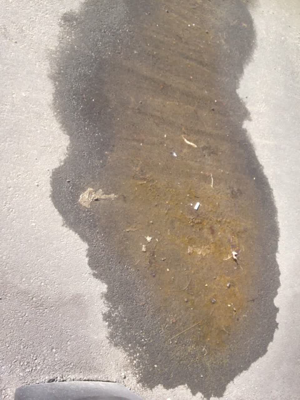 The photograph attached to this flooding report