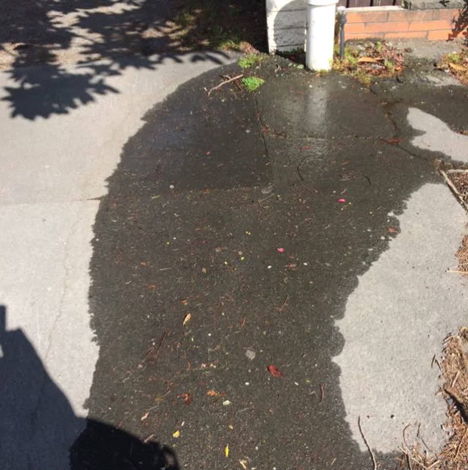 The photograph attached to this water general report