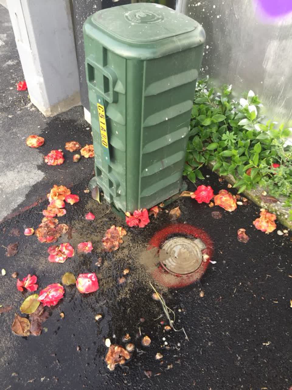 The photograph attached to this water supply report