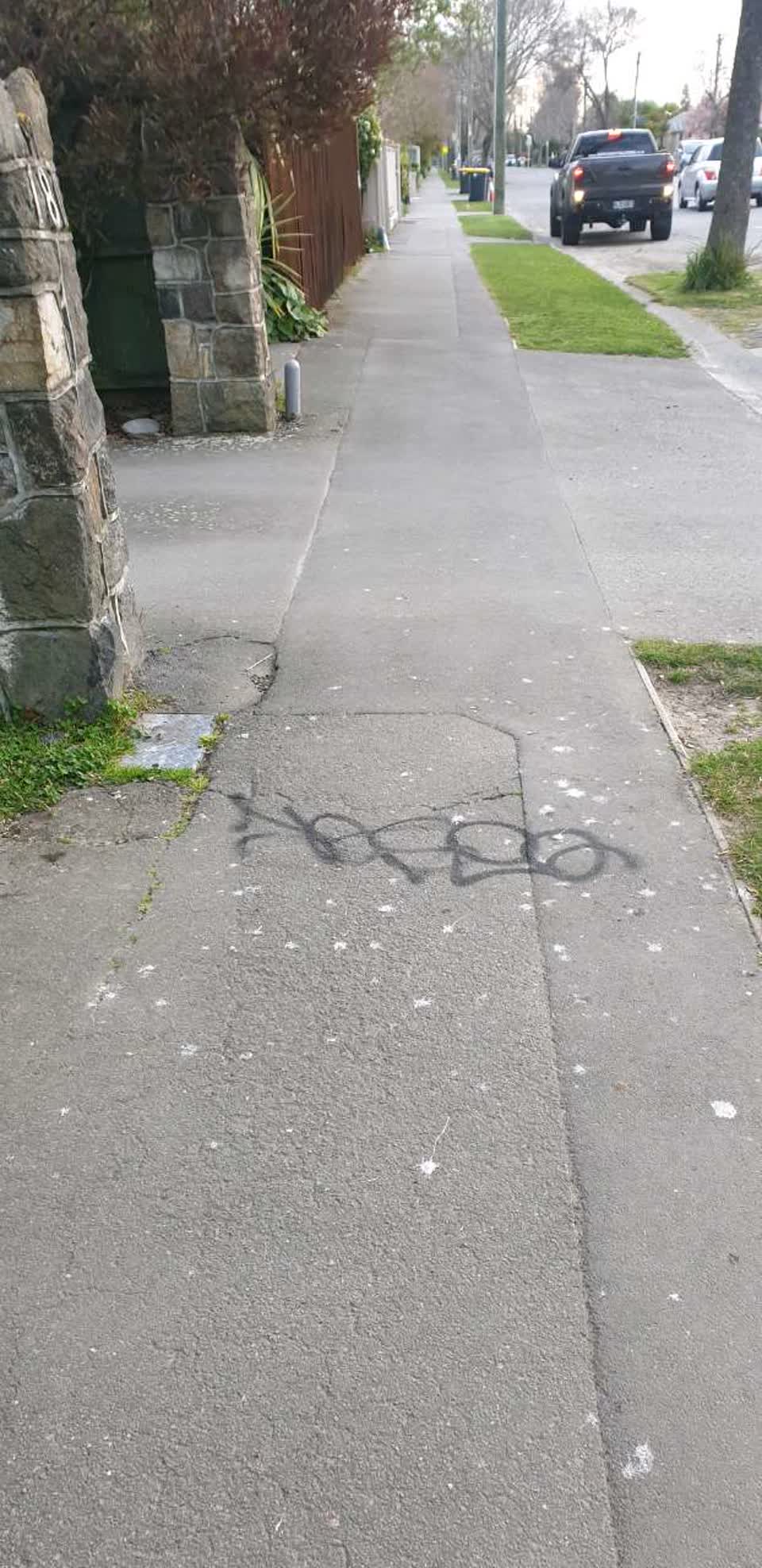 The photograph attached to this graffiti report