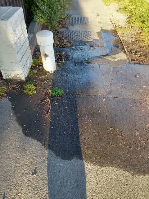Water Supply, a report photo