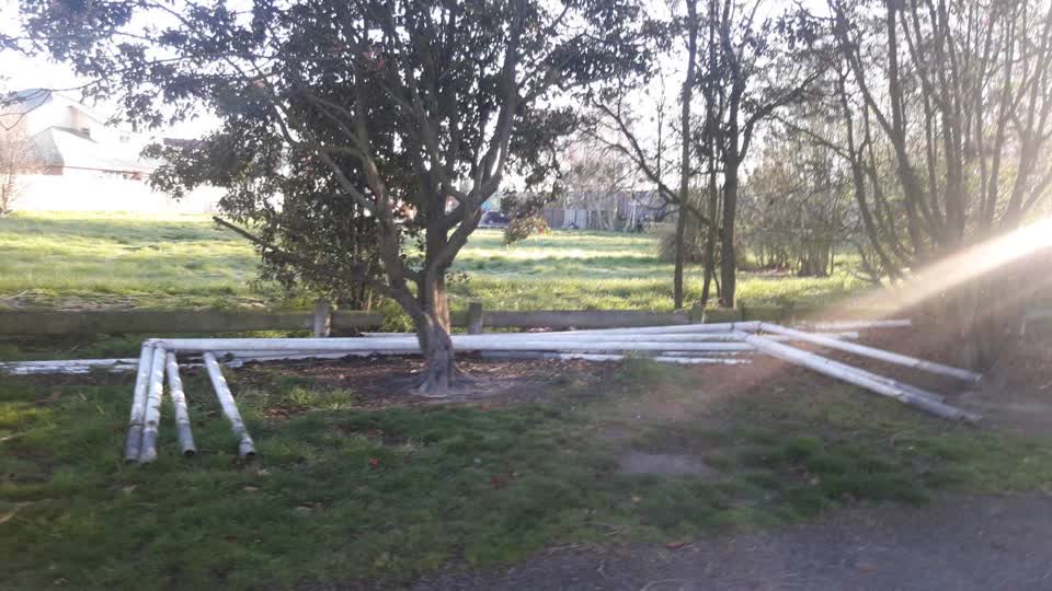 The photograph attached to this parks report