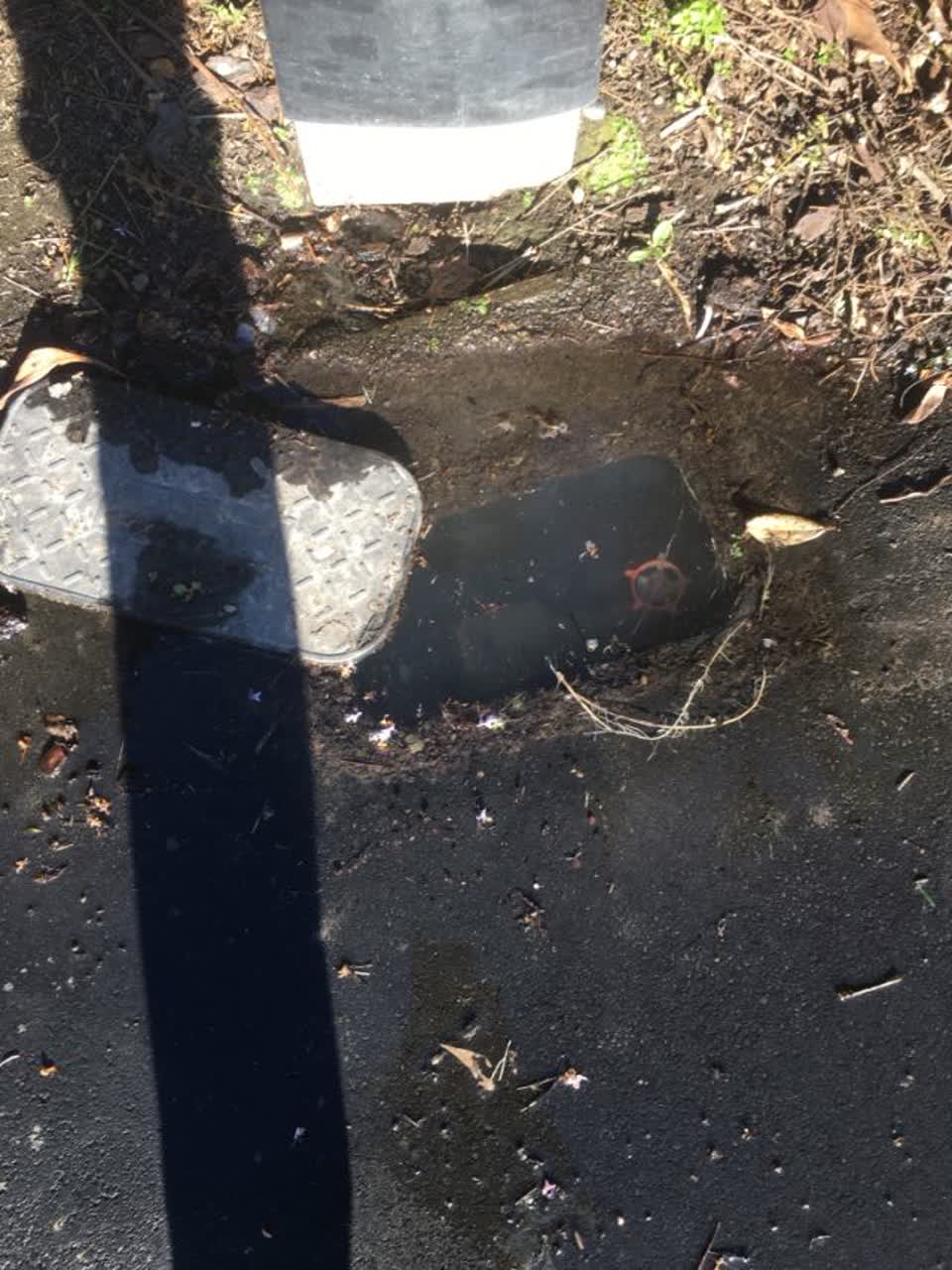 The photograph attached to this water supply report