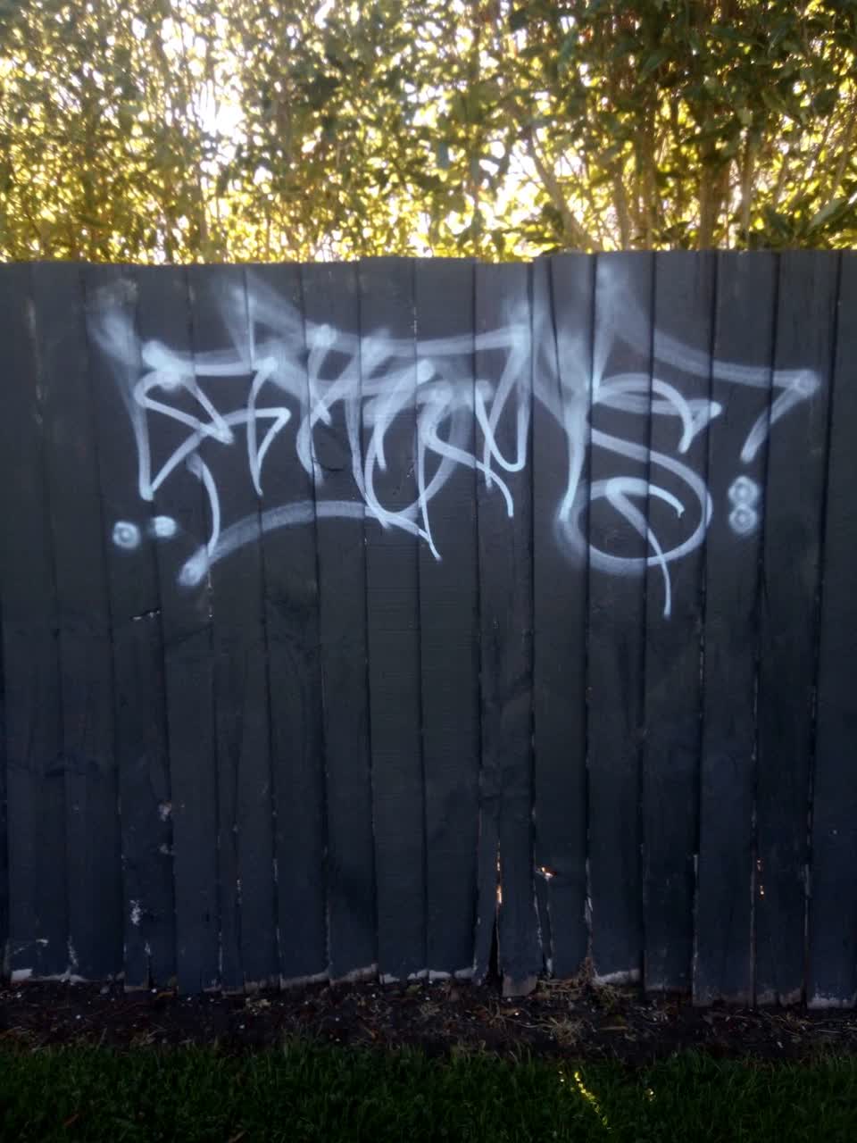 The photograph attached to this graffiti report