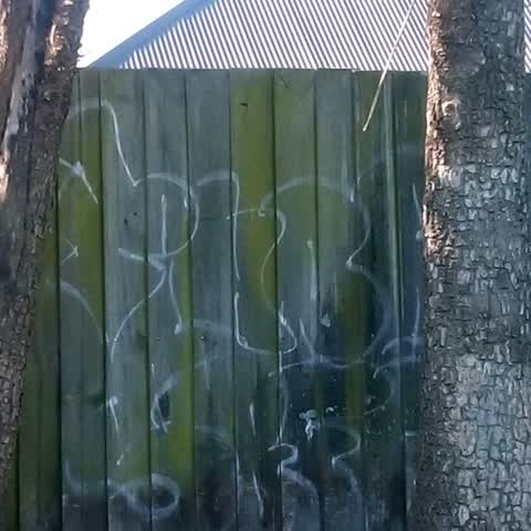 Graffiti, a report photo