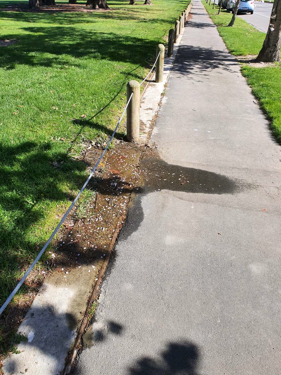 The photograph attached to this water supply report