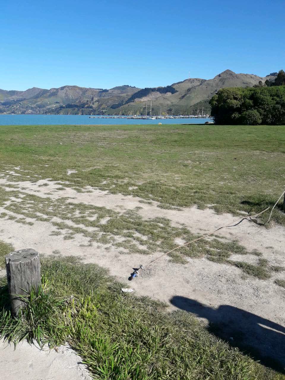 The photograph attached to this parks report
