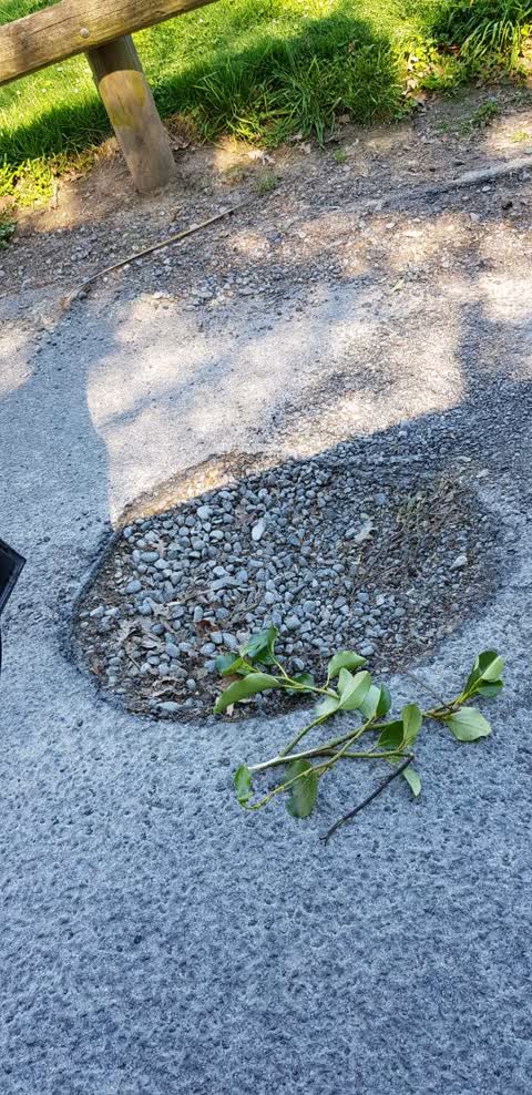 Roading/Streets, a report photo
