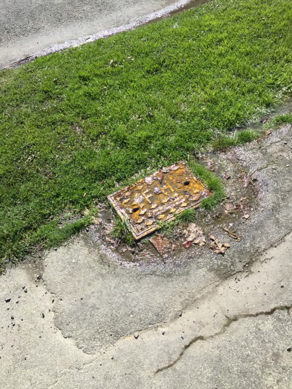 The photograph attached to this water supply report