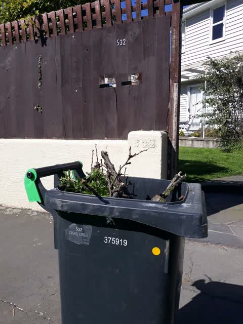 Rubbish/Recycling, a report photo