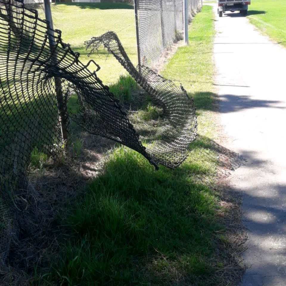 The photograph attached to this parks report