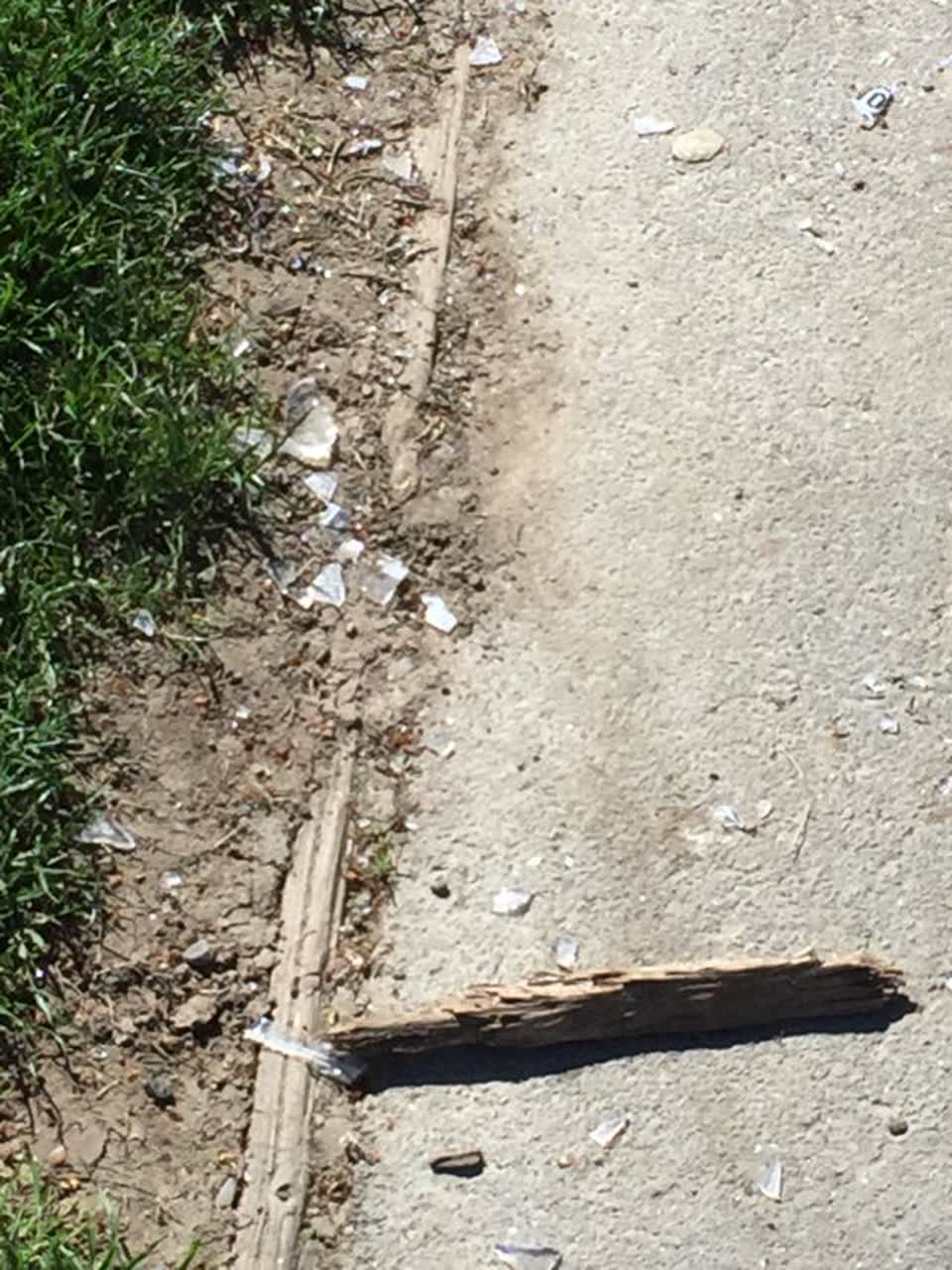 The photograph attached to this parks report