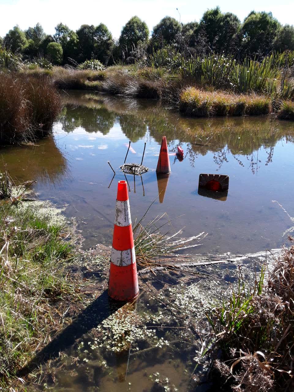 The photograph attached to this parks report