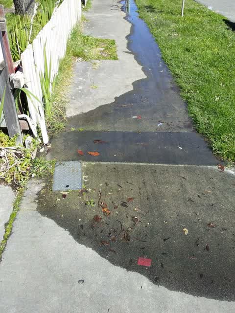 Water Supply, a report photo
