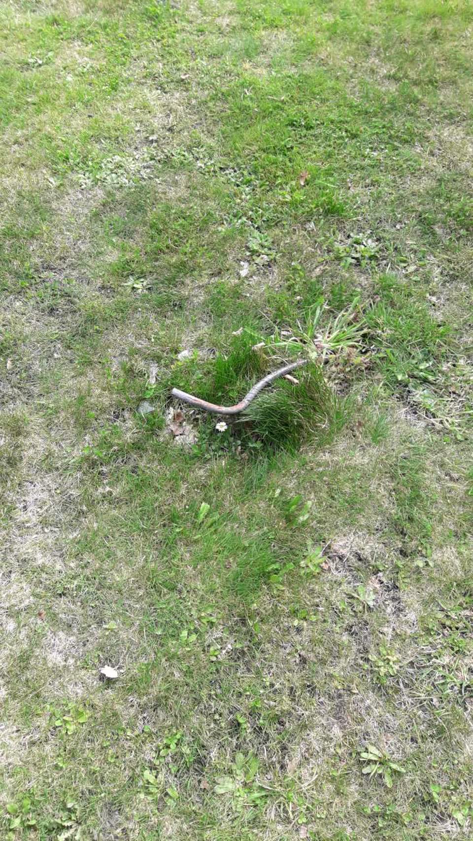 The photograph attached to this parks report