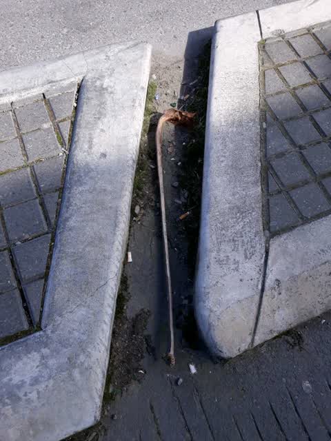 Roading/Streets, a report photo