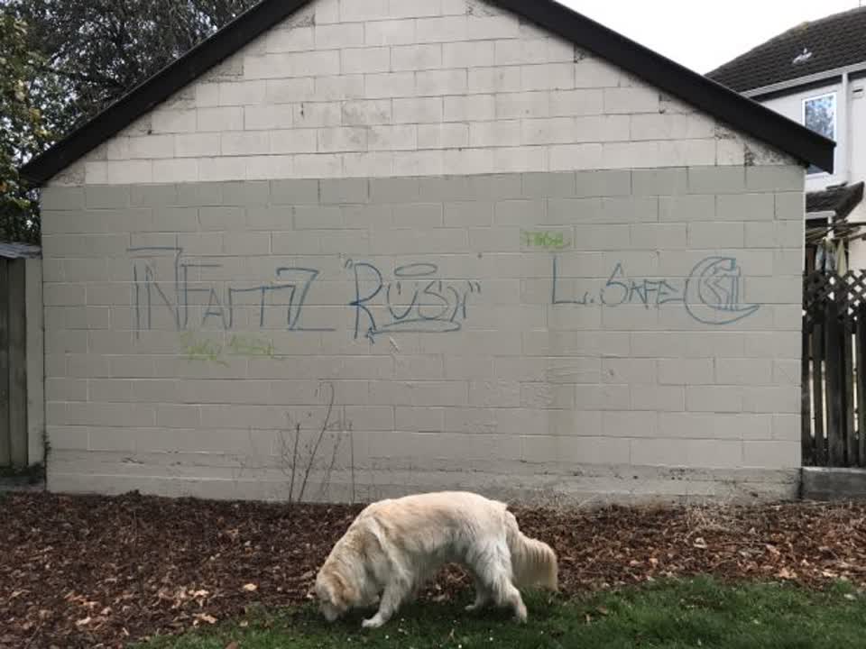 The photograph attached to this graffiti report