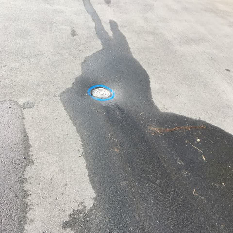 The photograph attached to this flooding report