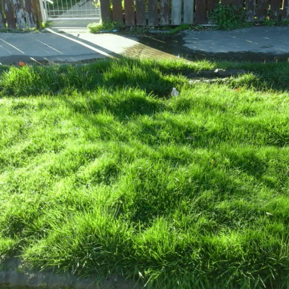 The photograph attached to this water supply report