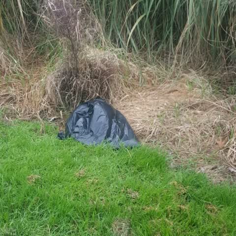 Rubbish/Recycling, a report photo