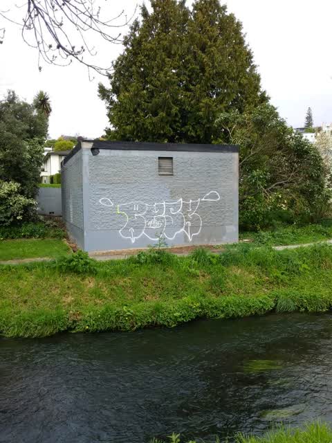 Graffiti, a report photo