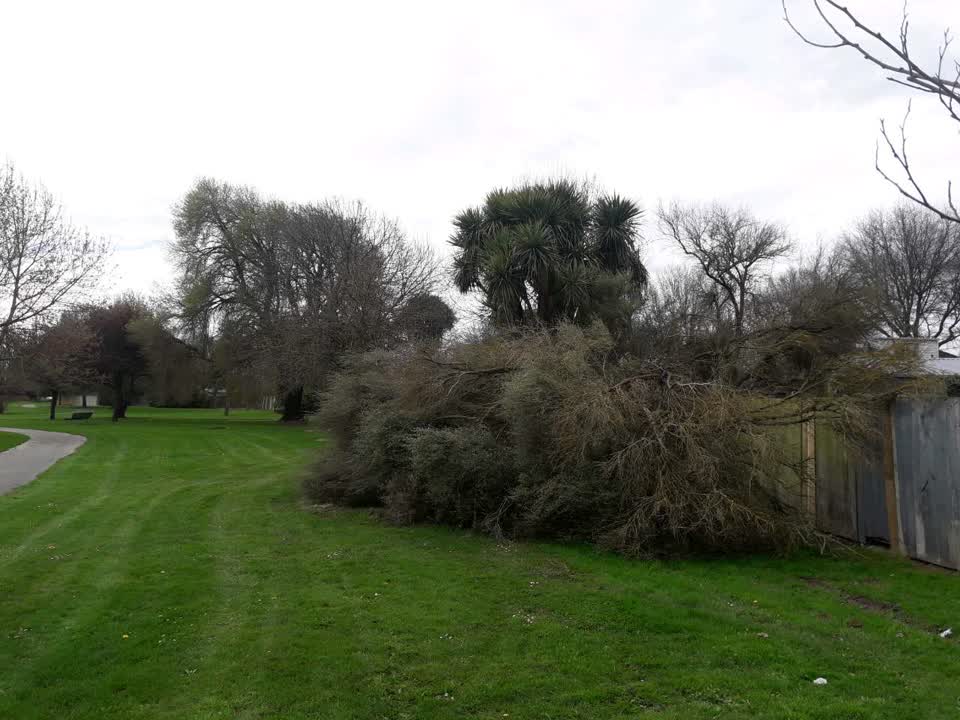 The photograph attached to this parks report