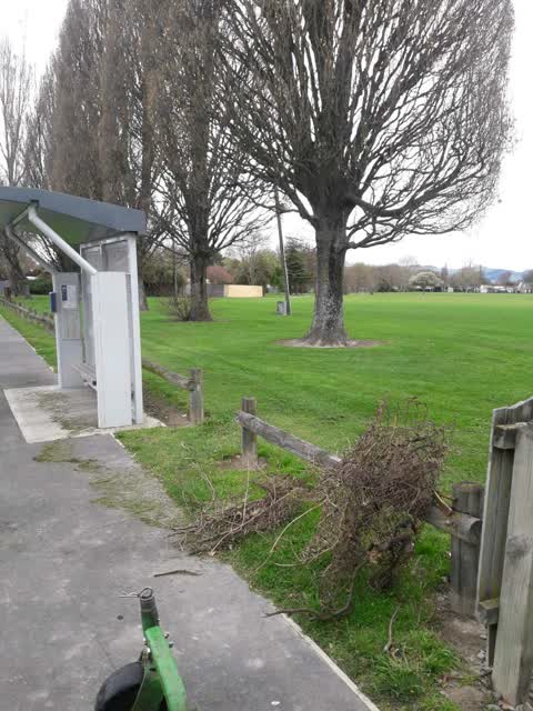 Parks, a report photo