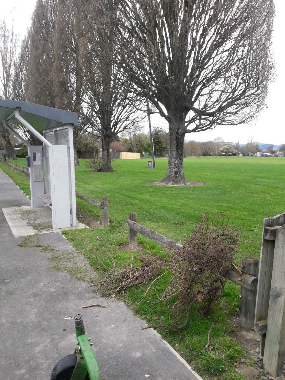 The photograph attached to this parks report