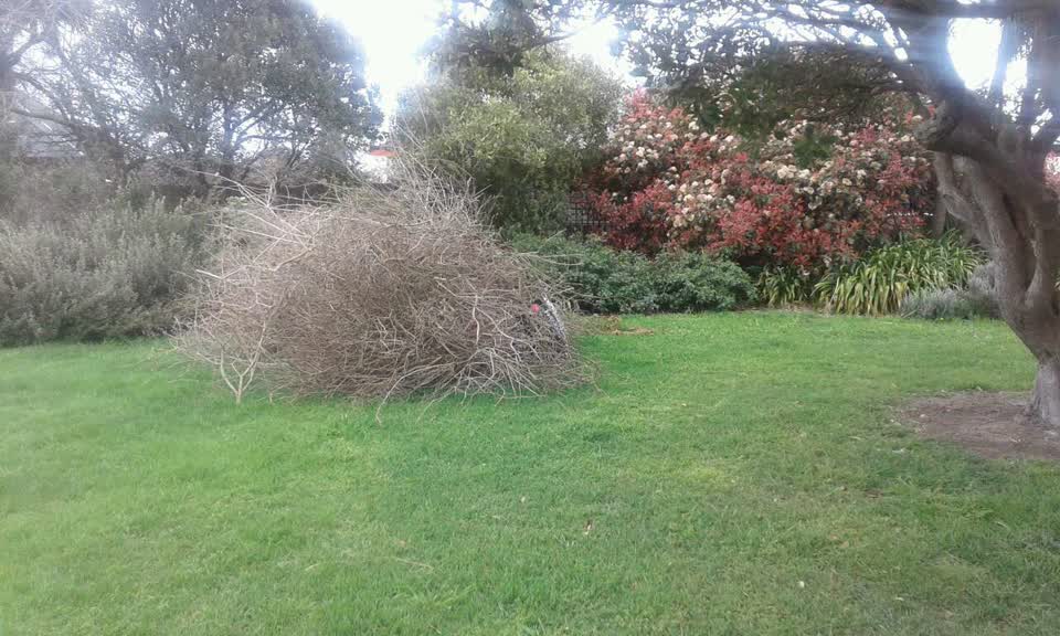 The photograph attached to this parks report