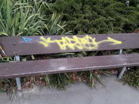 Graffiti, a report photo