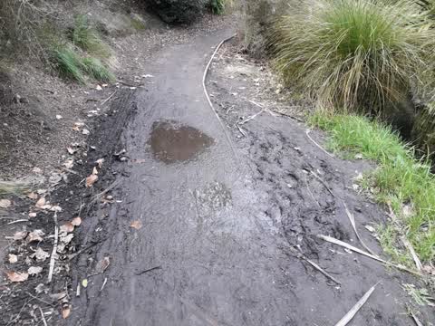 Parks, a report photo