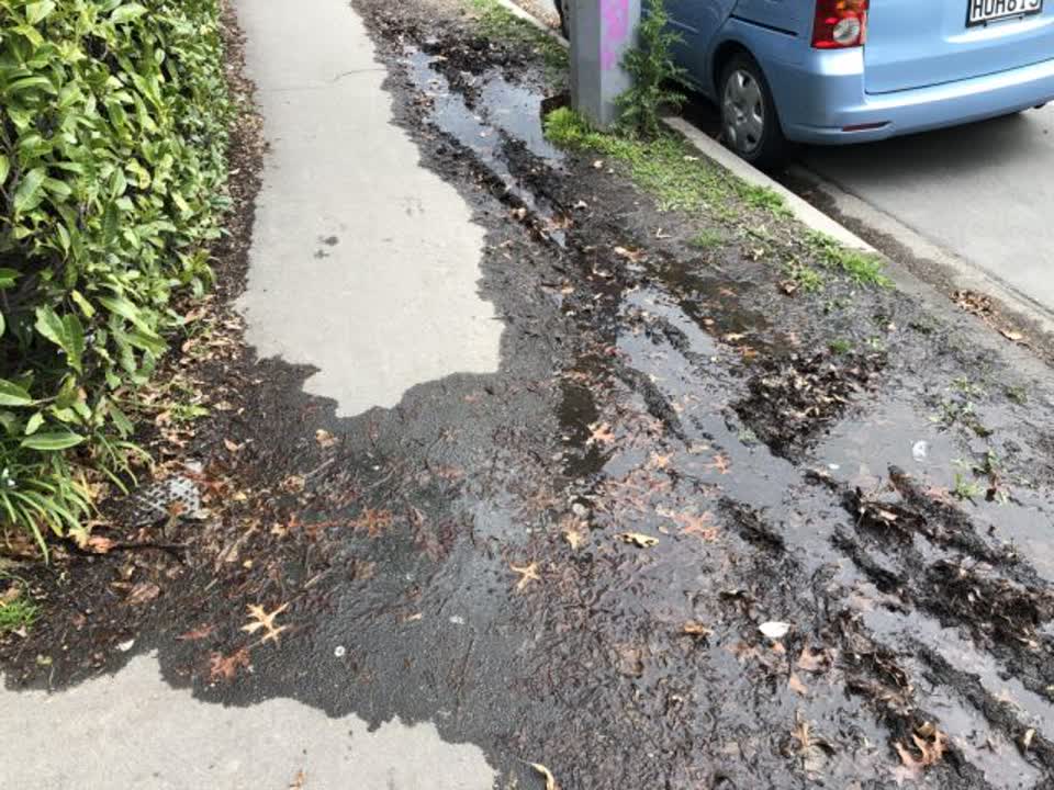 The photograph attached to this water supply report