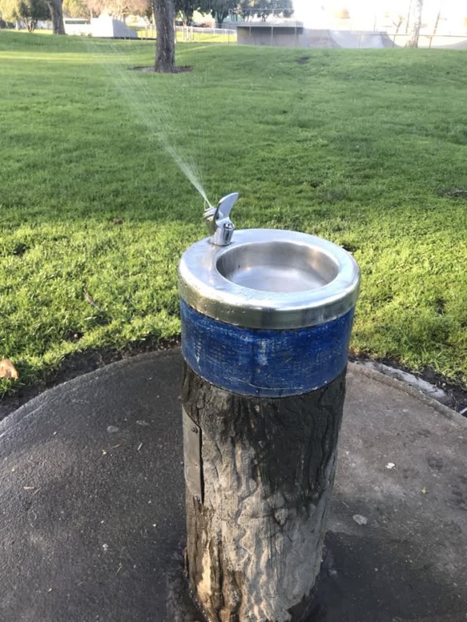 The photograph attached to this parks report