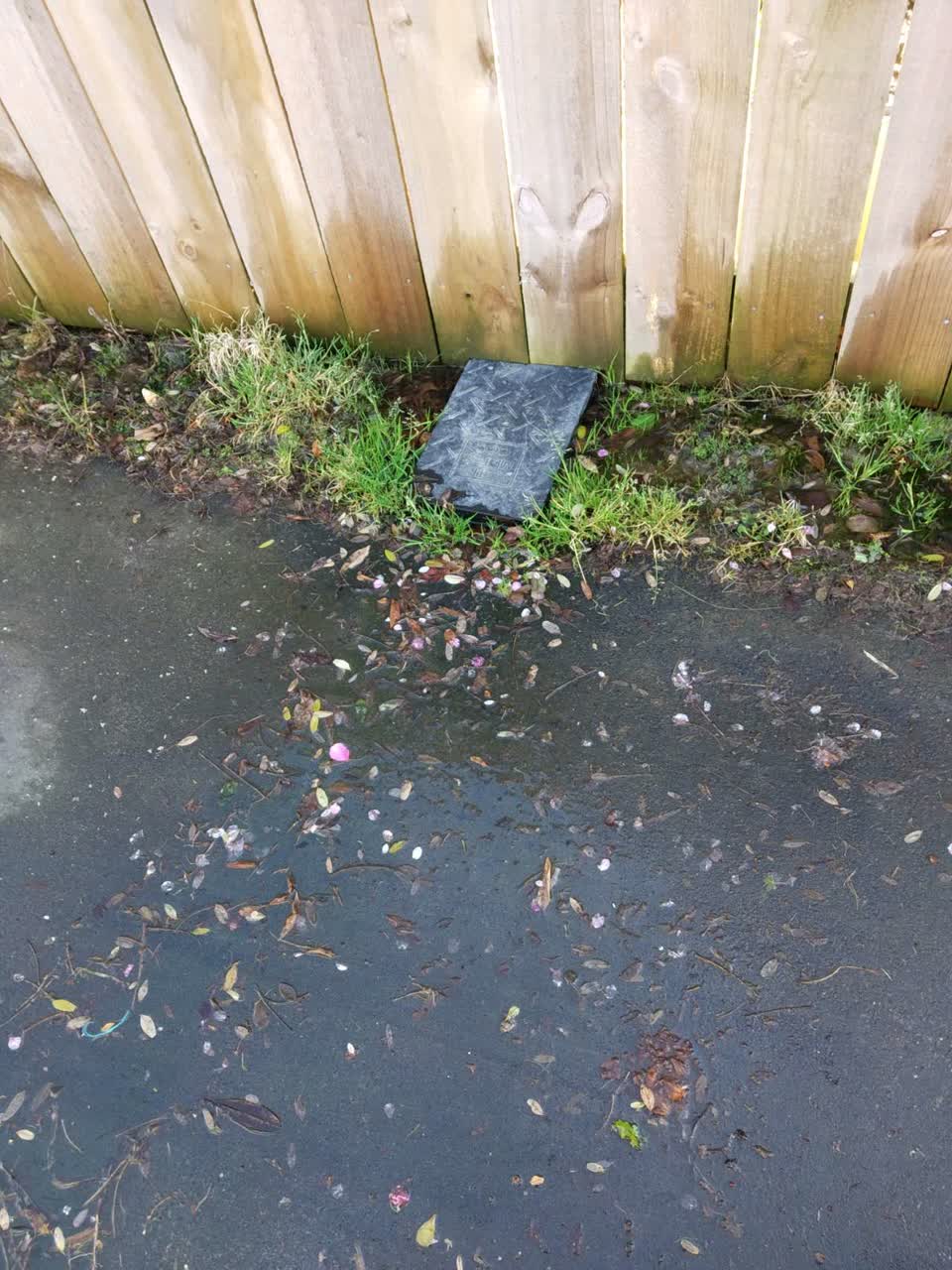 The photograph attached to this water supply report