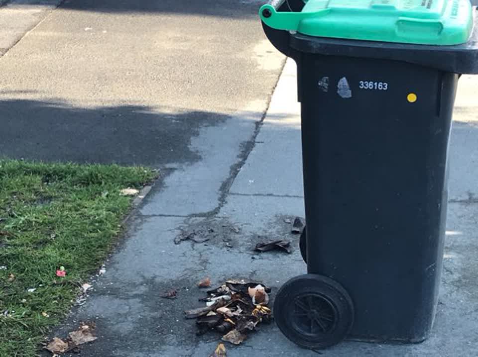 The photograph attached to this rubbish/recycling report