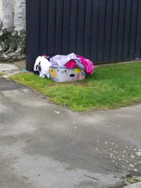 Rubbish/Recycling, a report photo