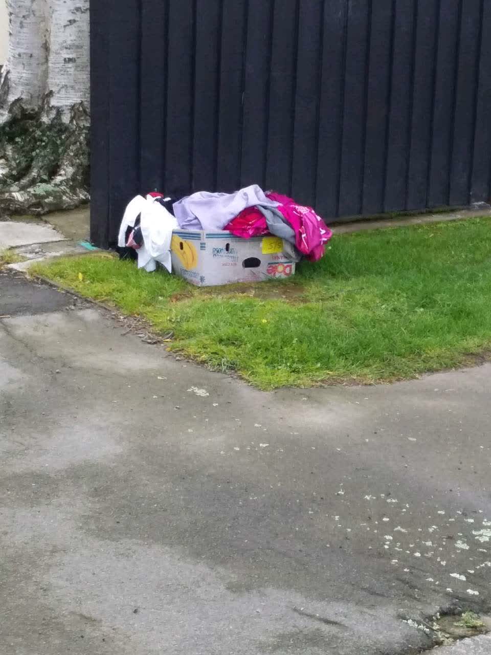 The photograph attached to this rubbish/recycling report