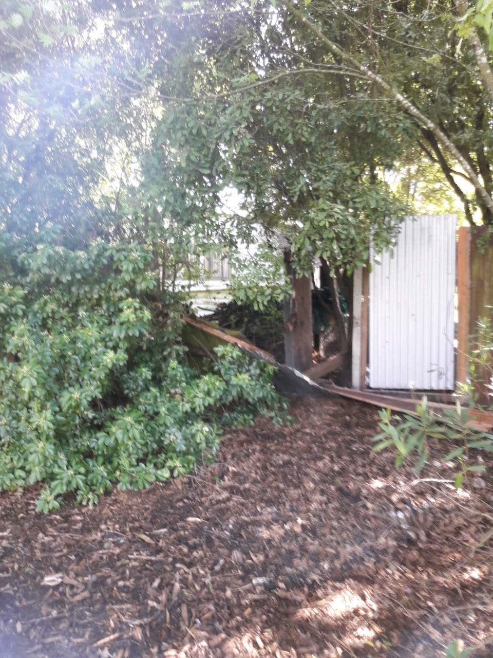 The photograph attached to this parks report