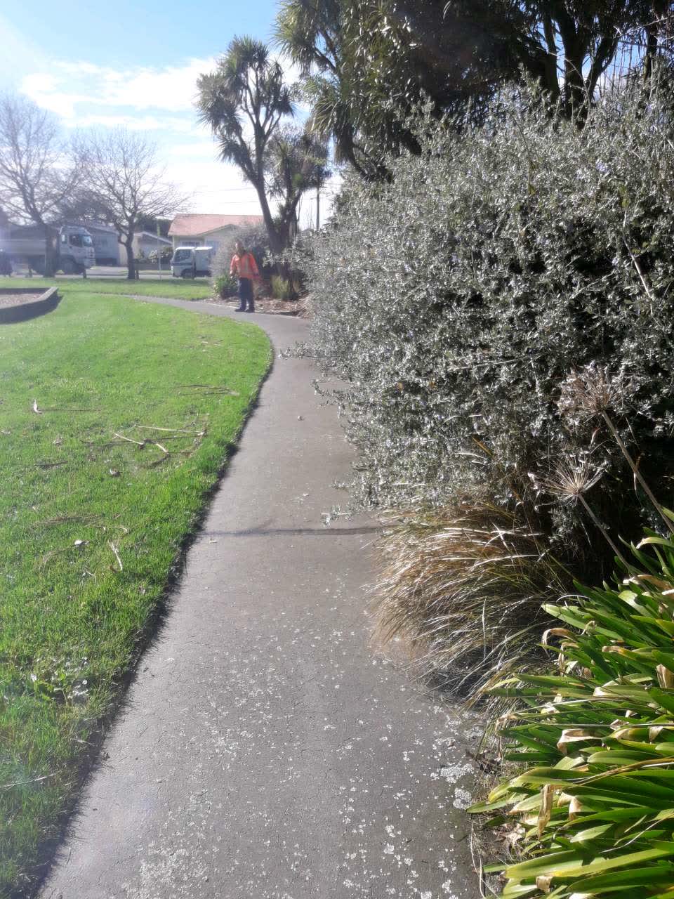 The photograph attached to this parks report