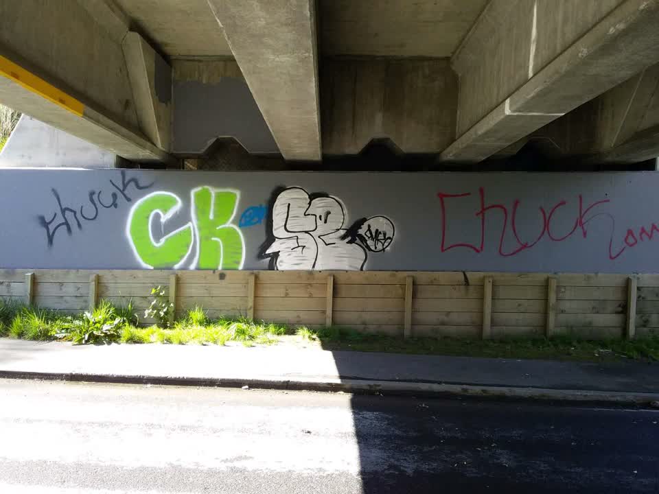 The photograph attached to this graffiti report