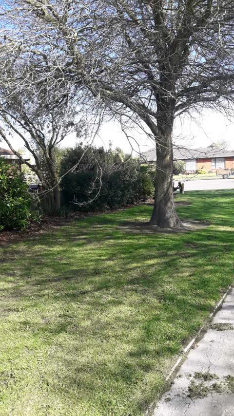 Parks, a report photo