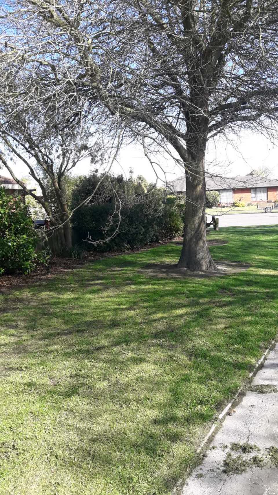 The photograph attached to this parks report