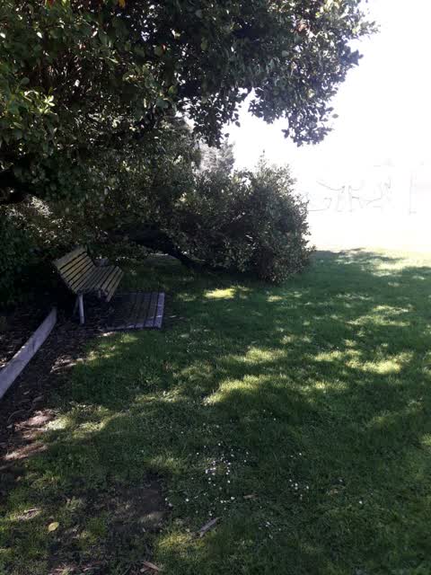 Parks, a report photo