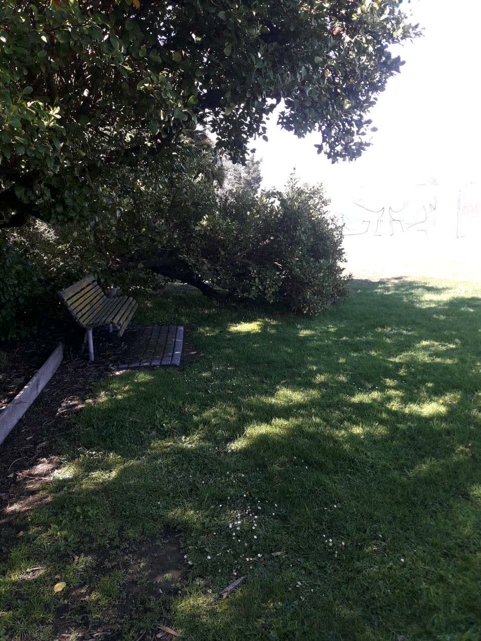 The photograph attached to this parks report