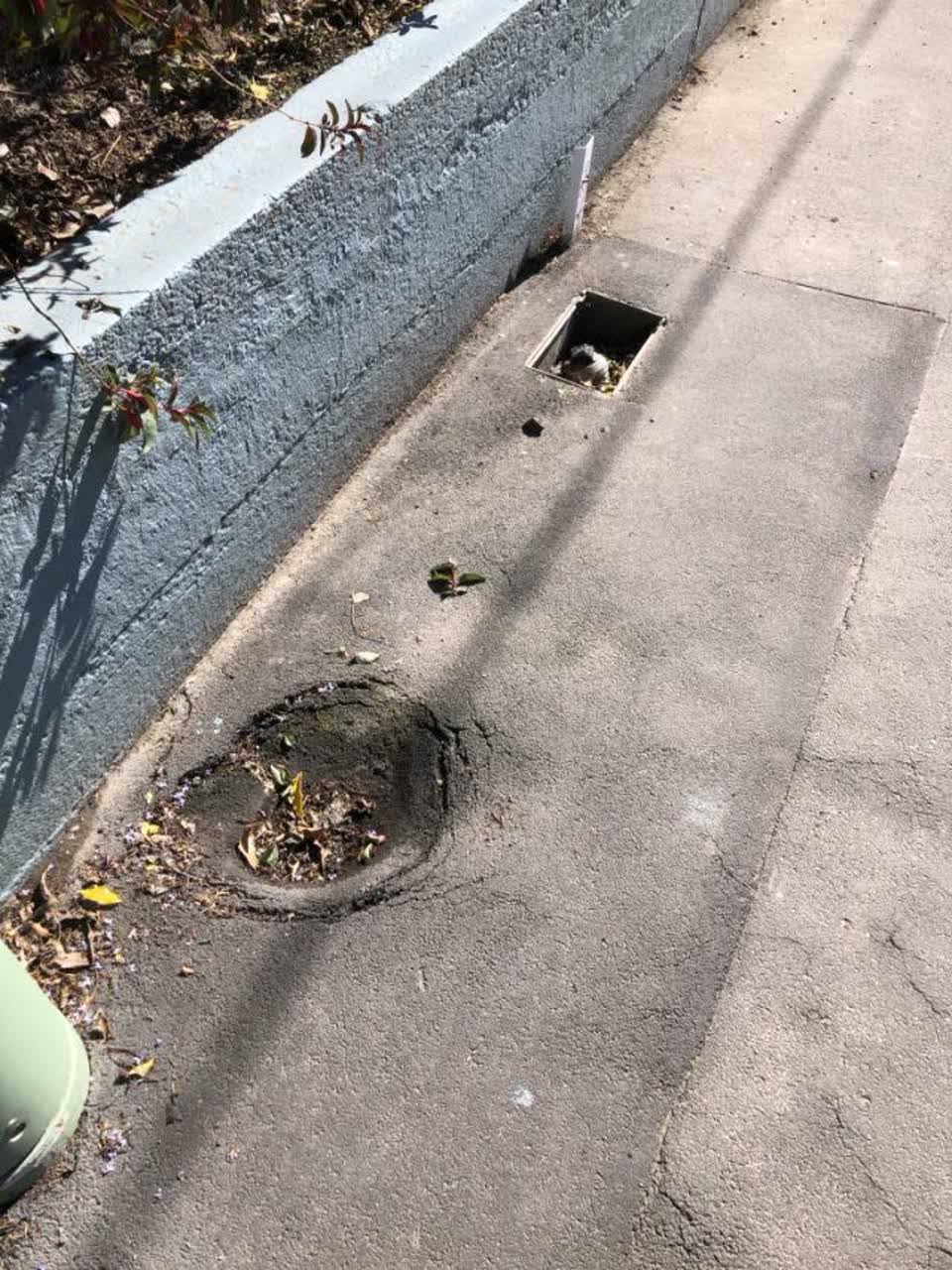 The photograph attached to this water supply report