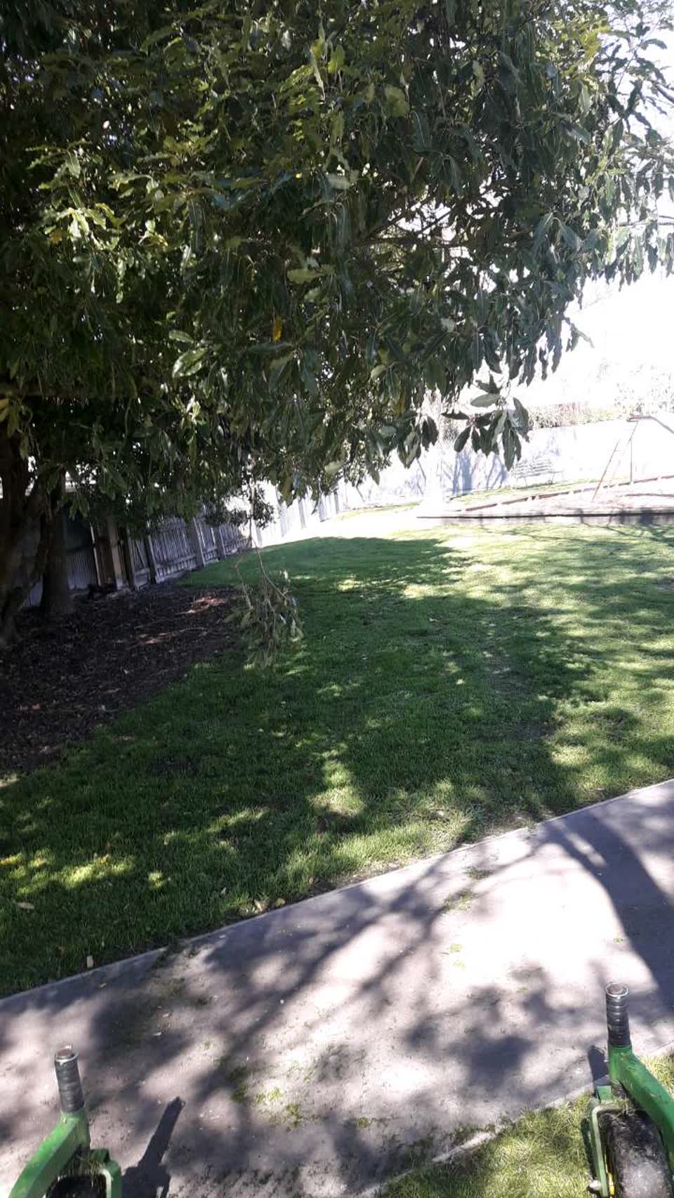 The photograph attached to this parks report