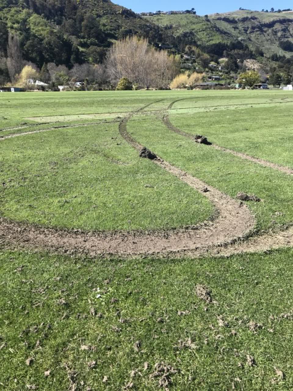 The photograph attached to this parks report