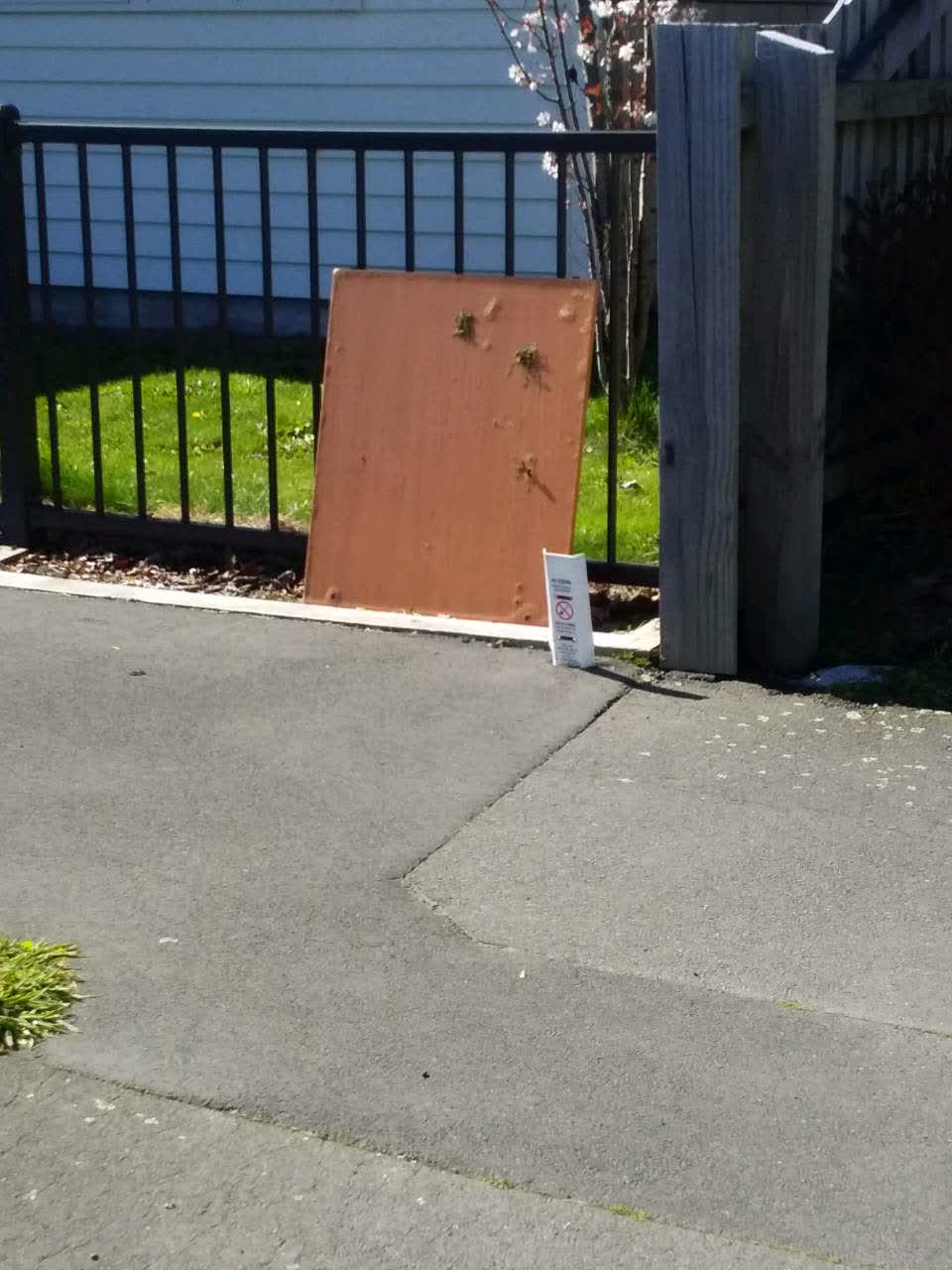 The photograph attached to this rubbish/recycling report
