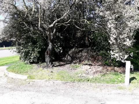 Parks, a report photo